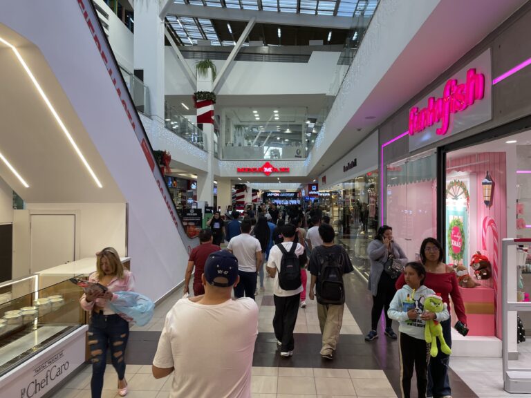 Estudios internacionales muestran que las mujeres influyen en más del 70% de las decisiones de compra del hogar y dinamizan la economía de los centros comerciales.